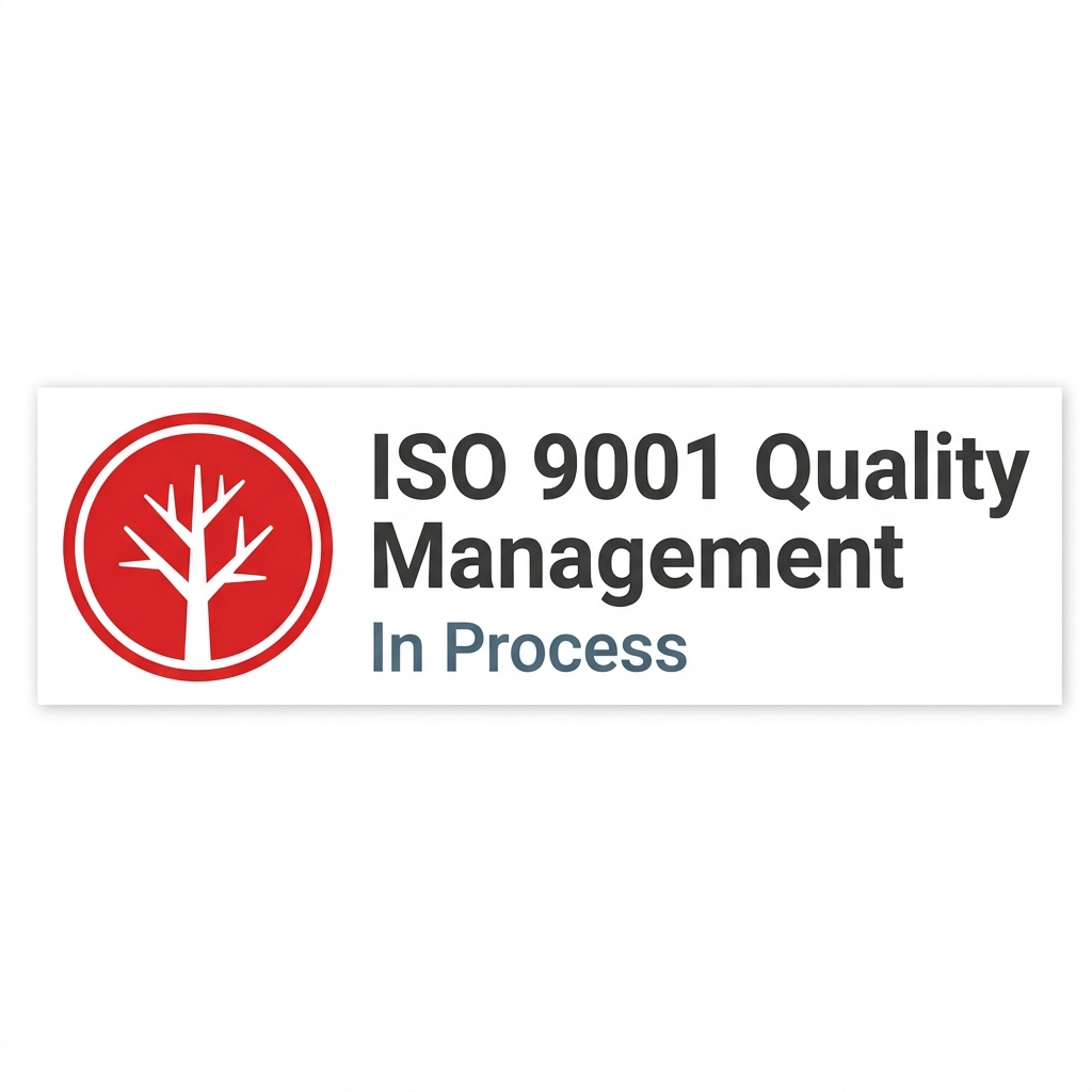 ISO 9001 In Process